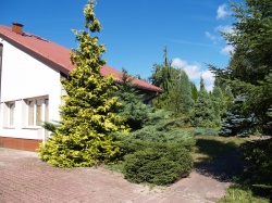 STUDIO w nowej siedzibie