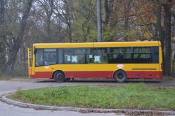 Autobusy w Święta i Nowy Rok