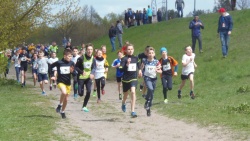 Ciechanów organizatorem finałów XVIII Mazowieck