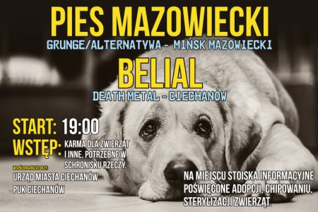 Hungry Dog Fest - koncert na rzecz psów ze schron