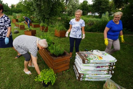 Aktywni seniorzy tworzą Eko Farmę