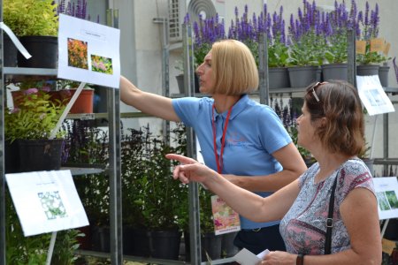 Sadzonka dla mieszkańców w zamian za odpady