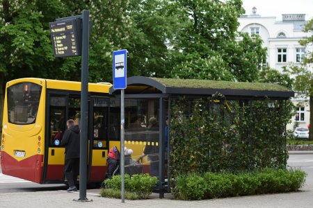 Pierwszy zielony przystanek w Ciechanowie